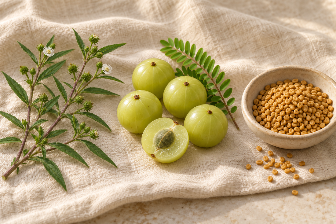 Un brin de bhringraj à petites fleurs blanches, des fruits d'amla entiers et un bol de graines de fenugrec sur un fond crème